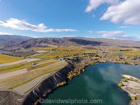 aerial;Aerial-drone;Aerial-drones;aerial-image;aerial-images;aerial-photo;aerial-photograph;aerial-photographs;aerial-photography;aerial-photos;aerial-view;aerial-views;aerials;agricultural;agriculture;autuminal;autumn;autumn-colour;autumn-colours;autumnal;Bannockburn;Bannockburn-Inlet;Cairnmuir-Vineyard;Carrick-Vineyard;Carrick-Vineyards;Carrick-Winery;Central-Otago;Central-Otago-Vineyard;Central-Otago-Vineyards;color;colors;colour;colours;country;countryside;crop;crops;cultivation;deciduous;Drone;Drones;fall;farm;farming;farmland;farms;field;fields;gold;golden;grape;grapes;grapevine;horticulture;Kawarau-Arm;Lake-Dunstan;leaf;leaves;N.Z.;New-Zealand;NZ;Otago;Quadcopter;Quadcopters;row;rows;rural;S.I.;season;seasonal;seasons;SI;South-Island;Sth-Is;Sth-Is.;tree;trees;U.A.V.;UAV;UAVs;Unmanned-aerial-vehicle;vine;vines;vineyard;vineyards;vintage;wineries;winery;yellow