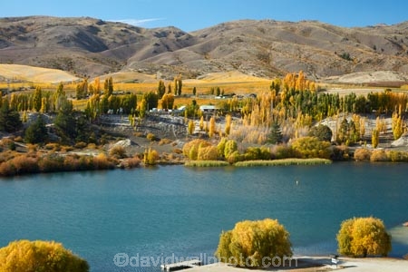 agricultural;agriculture;autuminal;autumn;autumn-colour;autumn-colours;autumnal;Bannockburn;Bannockburn-Inlet;cairnmuir-campground;cairnmuir-mountains;cairnmuir-range;campground;campgrounds;camping-ground;camping-grounds;Central-Otago;central-otago-vineyard;central-otago-vineyards;central-otago-wineries;central-otago-winery;color;colors;colour;colours;country;countryside;cromwell;crop;crops;cultivation;deciduous;fall;farm;farming;farmland;farms;field;fields;gold;golden;grape;grapes;grapevine;horticulture;kawarau-arm;lake;Lake-Dunstan;lakes;leaf;leaves;N.Z.;New-Zealand;NZ;Otago;poplar;poplar-tree;poplar-trees;poplars;row;rows;rural;S.I.;season;seasonal;seasons;SI;south-island;Sth-Is;Sth-Is.;tree;trees;vine;vines;vineyard;vineyards;water;wineries;winery;yellow