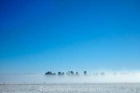 agricultural;agriculture;Aotearoa;big-sky;blue;blue-and-white;blue-skies;blue-sky;Central-Otago;cloudless;cold;cold-freezing;Coldness;country;countryside;extreme-weather;farm;farming;farmland;farms;fence;fence-line;fence-lines;fence_line;fence_lines;fenceline;fencelines;fences;field;fields;fog;foggy;fogs;freeze;freezing;freezing-fog;frost;icy;inversion-layer;inversion-layers;Maniototo;meadow;meadows;mist;mists;misty;N.Z.;New-Zealand;NZ;Otago;paddock;paddocks;pasture;pastures;rural;S.I.;Scenic;Scenics;Season;Seasons;SI;skies;sky;snow;snowy;South-Is;South-Island;Sth-Is;tree;trees;weather;white;winter;Wintertime;wintery;wintry