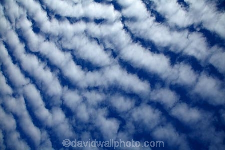 Aotearoa;autocumulus;autocumulus-undulatus;Bannockburn;blue;Central-Otago;cloud;clouds;cloudy;N.Z.;New-Zealand;NZ;Otago;ripple;ripple-cloud;rippled;ripples;S.I.;SI;skies;sky;South-Is;South-Island;Sth-Is;undulatus-cloud;undulatus-clouds;wave-cloud;weather