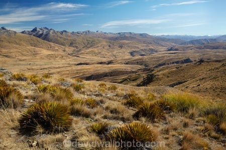 alpine;back-country;backcountry;Central-Otago;Hector-Mountains;high-altitude;high-country;highcountry;highlands;Kopuwai-Conservation-Area;Kopuwai-Rd;Kopuwai-Ridge-4WD-Rd;Kopuwai-Ridge-4WD-Road;Kopuwai-Ridge-Rd;Kopuwai-Ridge-Road;Kopuwai-Road;N.Z.;Nevis-Valley;New-Zealand;NZ;Old-Woman-Conservation-Area;Old-Woman-Range;Otago;remote;remoteness;S.I.;SI;South-Is;South-Island;uplands