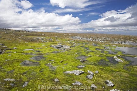 alpine;back-country;backcountry;bog;Central-Otago;high-altitude;high-country;highcountry;highlands;N.Z.;New-Zealand;NZ;Old-Woman-Conservation-Area;Old-Woman-Range;Otago;remote;remoteness;S.I.;SI;South-Island;uplands;wetland;wetlands