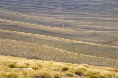 back-country;backcountry;Central-Otago;Garvie-Mountains;high-altitude;high-country;highcountry;highlands;N.Z.;New-Zealand;NZ;Old-Woman-Range;Otago;remote;remoteness;S.I.;SI;South-Island;tussock;tussock-grass;tussocks;uplands