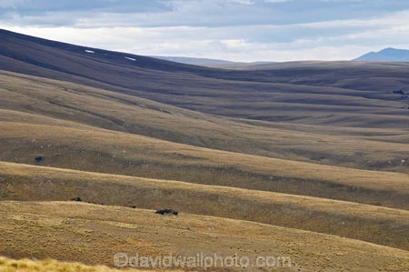 back-country;backcountry;Central-Otago;Garvie-Mountains;high-altitude;high-country;highcountry;highlands;N.Z.;New-Zealand;NZ;Old-Woman-Range;Otago;remote;remoteness;S.I.;SI;South-Island;tussock;tussock-grass;tussocks;uplands