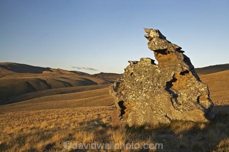 back-country;backcountry;Carrick-Range;Central-Otago;geological;geology;high-altitude;high-country;highcountry;highlands;N.Z.;Nevis-Valley;New-Zealand;NZ;Otago;remote;remoteness;rock;rock-formation;rock-formations;rock-outcrop;rock-outcrops;rock-tor;rock-torr;rock-torrs;rock-tors;rocks;S.I.;SI;South-Island;stone;tussock;tussock-grass;tussocks;uplands