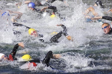 Central-Otago;Cromwell;freestyle;Lake-Dunstan;multi-sport;multi_sport;multisport;New-Zealand;race;racers;races;racing;South-Island;splash;splashing;sport;sports;sportsman;sportsmen;sportswoman;sportswomen;swim;swimmer;Swimmers;Triathalon;triathalons;triathlon;triathlons