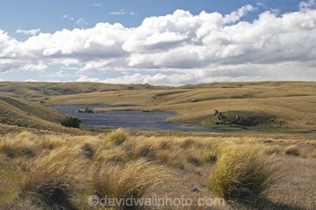 back-country;backcountry;Central-Otago;Dunstan-Track;Dunstan-Trail;goldfields;Goldrush;Great-Moss-Swamp;high-altitude;high-country;highcountry;highlands;historic;historic-road;historic-route;historical;lake;lakes;N.Z.;New-Zealand;NZ;Old-Dunstan-Trail;Otago;remote;remoteness;S.I.;SI;South-Island;tussock;tussock-grass;tussocks;uplands