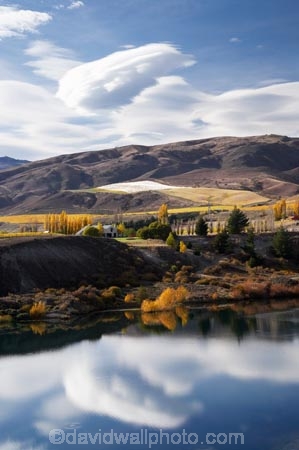 autuminal;autumn;autumn-colour;autumn-colours;autumnal;Bannockburn;Bannockburn-Inlet;cairnmuir-mountains;cairnmuir-range;calm;Central-Otago;color;colors;colour;colours;deciduous;fall;lake;Lake-Dunstan;lakes;leaf;leaves;lenticular-cloud;lenticular-clouds;N.Z.;New-Zealand;NZ;Otago;placid;quiet;reflection;reflections;S.I.;season;seasonal;seasons;serene;SI;smooth;South-Island;still;tranquil;tree;trees;water;willow;willow-tree;willow-trees;willows