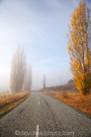 autuminal;autumn;autumn-colour;autumn-colours;autumnal;Central-Otago;centre-line;centre-lines;centre_line;centre_lines;centreline;centrelines;color;colors;colour;colours;deciduous;driving;fall;fog;foggy;fogs;highway;highways;leaf;leaves;Lowburn;mist;mists;misty;N.Z.;New-Zealand;NZ;open-road;open-roads;Otago;poplar;poplar-tree;poplar-trees;poplars;road;road-trip;roads;S.I.;season;seasonal;seasons;SI;South-Island;transport;transportation;travel;traveling;travelling;tree;trees;trip