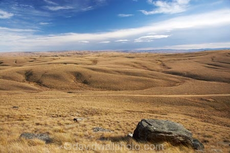 back-country;backcountry;Central-Otago;country;countryside;farm;farming;farmland;farms;field;fields;high-country;highcountry;highland;highlands;Lammermoor-Range;Lammermoor-Ranges;Maniototo;N.Z.;New-Zealand;NZ;Old-Dunstan-Road;Old-Dunstan-Track;Old-Dunstan-Trail;Otago;rural;S.I.;SI;South-Island;tussock;tussocks