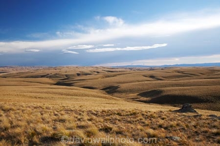 back-country;backcountry;Central-Otago;country;countryside;farm;farming;farmland;farms;field;fields;high-country;highcountry;highland;highlands;Lammermoor-Range;Lammermoor-Ranges;Maniototo;N.Z.;New-Zealand;NZ;Old-Dunstan-Road;Old-Dunstan-Track;Old-Dunstan-Trail;Otago;rural;S.I.;SI;South-Island;tussock;tussocks