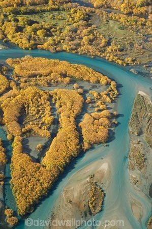 aerial;aerial-photo;aerial-photograph;aerial-photographs;aerial-photography;aerial-photos;aerial-view;aerial-views;aerials;autuminal;autumn;autumn-colour;autumn-colours;Autumn-Willow-Trees;autumnal;bend;bends;blue-water;braided-river;braided-rivers;Central-Otago;clean-water;clear-water;Clutha-River;Clutha-River-Delta;color;colors;colour;colours;creek;creeks;deciduous;delta;deltas;fall;golden;meander;meandering;meandering-river;meandering-rivers;N.Z.;New-Zealand;NZ;Otago;pure-water;river;river-delta;river-deltas;rivers;S.I.;season;seasonal;seasons;SI;South-Is.;South-Island;stream;streams;tree;trees;Upper-Clutha;willow;willow-tree;willow-trees;willows;yellow