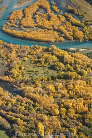 aerial;aerial-photo;aerial-photograph;aerial-photographs;aerial-photography;aerial-photos;aerial-view;aerial-views;aerials;autuminal;autumn;autumn-colour;autumn-colours;Autumn-Willow-Trees;autumnal;bend;bends;braided-river;braided-rivers;Central-Otago;Clutha-River;Clutha-River-Delta;color;colors;colour;colours;creek;creeks;deciduous;delta;deltas;fall;golden;meander;meandering;meandering-river;meandering-rivers;N.Z.;New-Zealand;NZ;Otago;river;river-delta;river-deltas;rivers;S.I.;season;seasonal;seasons;SI;South-Is.;South-Island;stream;streams;tree;trees;Upper-Clutha;willow;willow-tree;willow-trees;willows;yellow