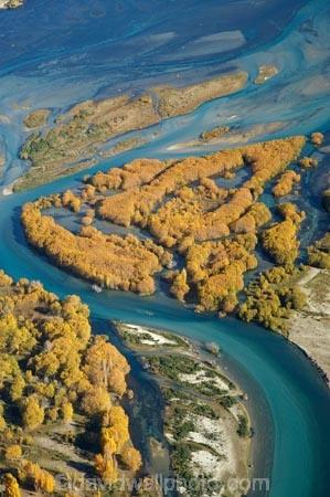 s-bend;aerial;aerial-photo;aerial-photograph;aerial-photographs;aerial-photography;aerial-photos;aerial-view;aerial-views;aerials;autuminal;autumn;autumn-colour;autumn-colours;Autumn-Willow-Trees;autumnal;bend;bends;blue-water;braided-river;braided-rivers;Central-Otago;clean-water;clear-water;Clutha-River;Clutha-River-Delta;color;colors;colour;colours;creek;creeks;deciduous;delta;deltas;fall;golden;meander;meandering;meandering-river;meandering-rivers;N.Z.;New-Zealand;NZ;Otago;pure-water;river;river-delta;river-deltas;rivers;s-bend;S.I.;season;seasonal;seasons;SI;South-Is.;South-Island;stream;streams;tree;trees;Upper-Clutha;willow;willow-tree;willow-trees;willows;yellow