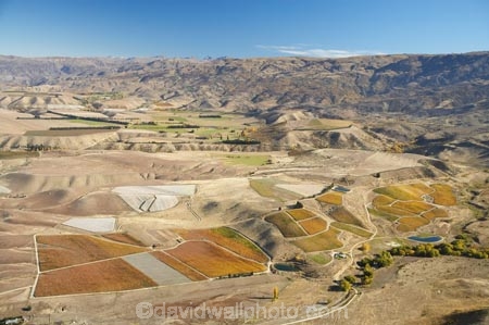 aerial;aerial-photo;aerial-photograph;aerial-photographs;aerial-photography;aerial-photos;aerial-view;aerial-views;aerials;agricultural;agriculture;autuminal;autumn;autumn-colour;autumn-colours;autumnal;Central-Otago;central-otago-vineyard;central-otago-vineyards;central-otago-wineries;central-otago-winery;color;colors;colour;colours;country;countryside;crop;crops;cultivation;deciduous;fall;farm;farming;farmland;farms;field;fields;grape;grapes;grapevine;horticulture;N.Z.;New-Zealand;NZ;Otago;pattern;patterns;row;rows;rural;S.I.;season;seasonal;seasons;SI;South-Is.;south-island;tree;trees;vine;vines;vineyard;vineyards;vintage;wineage;wineries;winery;wines