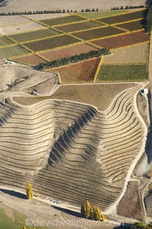 45-degrees-south;aerial;aerial-photo;aerial-photograph;aerial-photographs;aerial-photography;aerial-photos;aerial-view;aerial-views;aerials;agricultural;agriculture;autuminal;autumn;autumn-colour;autumn-colours;autumnal;Central-Otago;central-otago-vineyard;central-otago-vineyards;central-otago-wineries;central-otago-winery;color;colors;colour;colours;country;countryside;crop;crops;cultivation;deciduous;fall;farm;farming;farmland;farms;field;fields;fruit;fruit-tree;fruit-trees;grape;grapes;grapevine;horticulture;N.Z.;New-Zealand;NZ;orchard;orchards;Otago;pattern;patterns;row;rows;rural;S.I.;season;seasonal;seasons;SI;South-Is.;south-island;Sugarloaf;terrace;terraced;terraces;tree;trees;vine;vines;vineyard;vineyards;vintage;wineage;wineries;winery;wines