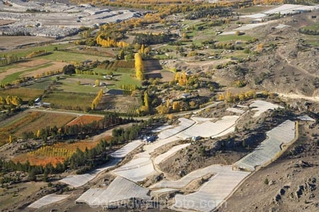 aerial;aerial-photo;aerial-photograph;aerial-photographs;aerial-photography;aerial-photos;aerial-view;aerial-views;aerials;agricultural;agriculture;Alexandra;autuminal;autumn;autumn-colour;autumn-colours;autumnal;Black-Ridge-Vineyard;Central-Otago;central-otago-vineyard;central-otago-vineyards;central-otago-wineries;central-otago-winery;color;colors;colour;colours;country;countryside;crop;crops;cultivation;deciduous;Earnscleugh;fall;farm;farming;farmland;farms;field;fields;fruit;fruit-tree;fruit-trees;grape;grapes;grapevine;horticulture;meadow;meadows;N.Z.;new-zealand;NZ;orchard;orchards;Otago;paddock;paddocks;pasture;pastures;row;rows;rural;S.I.;season;seasonal;seasons;SI;South-Is.;south-island;tree;trees;vine;vines;vineyard;vineyards;vintage;wineage;wineries;winery;wines