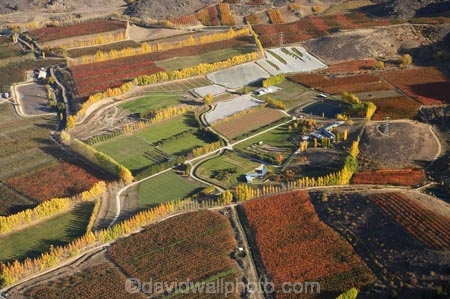 aerial;aerial-photo;aerial-photograph;aerial-photographs;aerial-photography;aerial-photos;aerial-view;aerial-views;aerials;agricultural;agriculture;Alexandra;autuminal;autumn;autumn-colour;autumn-colours;autumnal;Central-Otago;color;colors;colour;colours;country;countryside;crop;crops;deciduous;Earnscleugh;fall;farm;farming;farmland;farms;field;fields;fruit;fruit-tree;fruit-trees;horticulture;meadow;meadows;N.Z.;New-Zealand;NZ;orange;orchard;orchards;Otago;paddock;paddocks;pasture;pastures;poplar;poplar-tree;Poplar-Trees;poplars;row;rows;rural;S.I.;season;seasonal;seasons;SI;South-Is.;South-Island;tree;trees