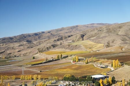 aerial;aerial-photo;aerial-photograph;aerial-photographs;aerial-photography;aerial-photos;aerial-view;aerial-views;aerials;agricultural;agriculture;Akarua-Vineyard;Akarua-Winery;autuminal;autumn;autumn-colour;autumn-colours;autumnal;Bannockburn;Cairnmuir-Mountains;Cairnmuir-Range;Central-Otago;central-otago-vineyard;central-otago-vineyards;central-otago-wineries;central-otago-winery;color;colors;colour;colours;country;countryside;crop;crops;cultivation;deciduous;Dunstan-Mountains;fall;farm;farming;farmland;farms;field;fields;grape;grapes;grapevine;horticulture;N.Z.;New-Zealand;NZ;Otago;row;rows;rural;S.I.;season;seasonal;seasons;SI;South-Is.;south-island;tree;trees;vine;vines;vineyard;vineyards;vintage;wineage;wineries;winery;wines