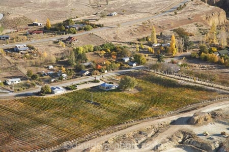 aerial;aerial-photo;aerial-photograph;aerial-photographs;aerial-photography;aerial-photos;aerial-view;aerial-views;aerials;agricultural;agriculture;autuminal;autumn;autumn-colour;autumn-colours;autumnal;Bannockburn;Central-Otago;central-otago-vineyard;central-otago-vineyards;central-otago-wineries;central-otago-winery;color;colors;colour;colours;country;countryside;crop;crops;cultivation;deciduous;Domain-Rd-Vineyard;Domain-Road-Vineyard;Domain-Road-Winery;Domain-Road-Wines;fall;farm;farming;farmland;farms;field;fields;grape;grapes;grapevine;horticulture;N.Z.;New-Zealand;NZ;Otago;row;rows;rural;S.I.;season;seasonal;seasons;SI;South-Is.;south-island;tree;trees;vine;vines;vineyard;vineyards;vintage;wineage;wineries;winery;wines