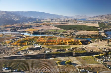 aerial;aerial-photo;aerial-photograph;aerial-photographs;aerial-photography;aerial-photos;aerial-view;aerial-views;aerials;agricultural;agriculture;autuminal;autumn;autumn-colour;autumn-colours;autumnal;Bannockburn;Central-Otago;central-otago-vineyard;central-otago-vineyards;central-otago-wineries;central-otago-winery;color;colors;colour;colours;country;countryside;crop;crops;cultivation;deciduous;Domain-Rd-Vineyard;Domain-Road-Vineyard;Domain-Road-Winery;Domain-Road-Wines;fall;farm;farming;farmland;farms;field;fields;fruit;fruit-tree;fruit-trees;grape;grapes;grapevine;horticulture;Lake-Dunstan;N.Z.;new-zealand;NZ;orchard;orchards;Otago;row;rows;rural;S.I.;season;seasonal;seasons;SI;South-Is.;south-island;tree;trees;vine;vines;vineyard;vineyards;vintage;wineage;wineries;winery;wines