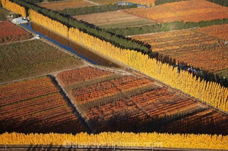 aerial;aerial-photo;aerial-photograph;aerial-photographs;aerial-photography;aerial-photos;aerial-view;aerial-views;aerials;autuminal;autumn;autumn-colour;autumn-colours;autumnal;Central-Otago;color;colors;colour;colours;country;countryside;Cromwell;crop;crops;deciduous;fall;farm;farming;farmland;farms;field;fruit;fruit-tree;fruit-trees;horticulture;irrigation-pond;irrigation-ponds;N.Z.;New-Zealand;NZ;orange;Orchard;orchards;Otago;pattern;patterns;pond;ponds;poplar;poplar-tree;Poplar-Trees;poplars;Ripponvale;row;rows;rural;S.I.;season;seasonal;seasons;shape;shapes;SI;South-Is.;South-Island;tree;trees