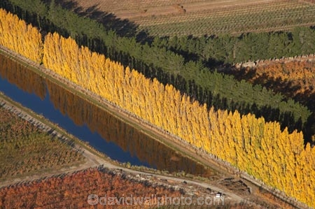 aerial;aerial-photo;aerial-photograph;aerial-photographs;aerial-photography;aerial-photos;aerial-view;aerial-views;aerials;autuminal;autumn;autumn-colour;autumn-colours;autumnal;Central-Otago;color;colors;colour;colours;country;countryside;Cromwell;crop;crops;deciduous;fall;farm;farming;farmland;farms;field;fruit;fruit-tree;fruit-trees;horticulture;irrigation-pond;irrigation-ponds;N.Z.;New-Zealand;NZ;orange;Orchard;orchards;Otago;pattern;patterns;pond;ponds;poplar;poplar-tree;Poplar-Trees;poplars;Ripponvale;row;rows;rural;S.I.;season;seasonal;seasons;shape;shapes;SI;South-Is.;South-Island;tree;trees