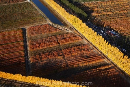 aerial;aerial-photo;aerial-photograph;aerial-photographs;aerial-photography;aerial-photos;aerial-view;aerial-views;aerials;autuminal;autumn;autumn-colour;autumn-colours;autumnal;Central-Otago;color;colors;colour;colours;country;countryside;Cromwell;crop;crops;deciduous;fall;farm;farming;farmland;farms;field;fruit;fruit-tree;fruit-trees;horticulture;irrigation-pond;irrigation-ponds;N.Z.;New-Zealand;NZ;orange;Orchard;orchards;Otago;pattern;patterns;pond;ponds;poplar;poplar-tree;Poplar-Trees;poplars;Ripponvale;row;rows;rural;S.I.;season;seasonal;seasons;shape;shapes;SI;South-Is.;South-Island;tree;trees