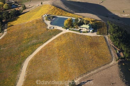 aerial;aerial-photo;aerial-photograph;aerial-photographs;aerial-photography;aerial-photos;aerial-view;aerial-views;aerials;agricultural;agriculture;autuminal;autumn;autumn-colour;autumn-colours;autumnal;Central-Otago;central-otago-vineyard;central-otago-vineyards;central-otago-wineries;central-otago-winery;color;colors;colour;colours;country;countryside;Cromwell;crop;crops;cultivation;deciduous;fall;farm;farming;farmland;farms;field;fields;grape;grapes;grapevine;horticulture;N.Z.;new-zealand;NZ;Otago;Ripponvale;row;rows;rural;S.I.;season;seasonal;seasons;SI;South-Is.;South-Island;tree;trees;vine;vines;vineyard;vineyards;vintage;wineage;wineries;winery;wines