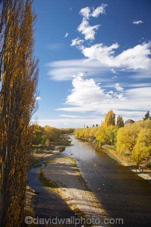 Alexandra;autuminal;autumn;autumn-colour;autumn-colours;autumnal;blow;Central-Otago;color;colors;colour;colours;deciduous;fall;gale;gale-force-wind;gale-force-winds;galeforce;galeforce-wind;galefore-winds;golden;gust;gusty;Manuherikia-River;N.Z.;New-Zealand;NZ;Otago;poplar;poplar-tree;poplar-trees;poplars;river;rivers;S.I.;season;seasonal;seasons;SI;South-Is.;South-Island;Strong-Wind;tree;trees;water;weather;willow;willow-tree;willow-trees;willows;wind;windy;yellow