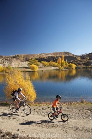 autuminal;autumn;autumn-colour;autumn-colours;autumnal;Bannockburn;Bannockburn-Inlet;bicycle;bicycles;bike;bikes;boy;boys;calm;Central-Otago;child;children;color;colors;colour;colours;cycle;cycler;cyclers;cycles;cyclist;cyclists;deciduous;fall;female;Kawarau-Arm;kid;kids;lake;Lake-Dunstan;lakes;little-boy;little-boys;model-release;model-released;mother;mothers;mountain-bike;mountain-biker;mountain-bikers;mountain-bikes;mtn-bike;mtn-biker;mtn-bikers;mtn-bikes;N.Z.;New-Zealand;NZ;Otago;outdoor;outdoors;people;person;placid;push-bike;push-bikes;push_bike;push_bikes;pushbike;pushbikes;quiet;recreation;reflection;reflections;S.I.;season;seasonal;seasons;serene;SI;smooth;South-Is.;South-Island;still;tranquil;tree;trees;water;willow;willow-tree;willow-trees;willows;woman