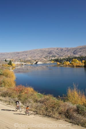 autuminal;autumn;autumn-colour;autumn-colours;autumnal;bicycle;bicycles;bike;bikes;Central-Otago;color;colors;colour;colours;Cornish-Point-Road;cycle;cycler;cyclers;cycles;cyclist;cyclists;deciduous;fall;Kawarau-Arm;lake;Lake-Dunstan;lakes;mountain-bike;mountain-biker;mountain-bikers;mountain-bikes;mtn-bike;mtn-biker;mtn-bikers;mtn-bikes;N.Z.;New-Zealand;NZ;Otago;outdoor;outdoors;push-bike;push-bikes;push_bike;push_bikes;pushbike;pushbikes;recreation;S.I.;season;seasonal;seasons;SI;South-Is.;South-Island;tree;trees