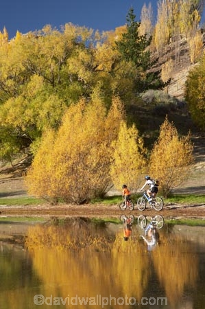autuminal;autumn;autumn-colour;autumn-colours;autumnal;Bannockburn;Bannockburn-Inlet;bicycle;bicycles;bike;bikes;boy;boys;calm;Central-Otago;child;children;color;colors;colour;colours;cycle;cycler;cyclers;cycles;cyclist;cyclists;deciduous;fall;female;golden;Kawarau-Arm;kid;kids;lake;Lake-Dunstan;lakes;little-boy;little-boys;model-release;model-released;mother;mother-and-son;mothers;mountain-bike;mountain-biker;mountain-bikers;mountain-bikes;mtn-bike;mtn-biker;mtn-bikers;mtn-bikes;N.Z.;New-Zealand;NZ;Otago;outdoor;outdoors;people;person;placid;poplar;poplar-tree;poplar-trees;poplars;push-bike;push-bikes;push_bike;push_bikes;pushbike;pushbikes;quiet;recreation;reflection;reflections;S.I.;season;seasonal;seasons;serene;SI;smooth;son;sons;South-Is.;South-Island;still;tranquil;tree;trees;water;willow;willow-tree;willow-trees;willows;woman;yellow