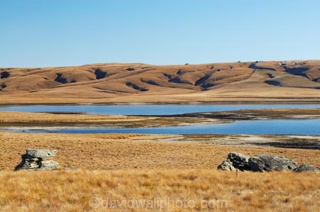 back-country;backcountry;Central-Otago;Central-Otago-peneplain;country;countryside;dam;dams;farm;farming;farmland;farms;Great-Moss-Swamp;high-altitude;high-country;highcountry;highland;highlands;lake;lakes;Lammermoor-Range;Lammermoor-Ranges;Logan-Burn-Dam;Logan-Burn-Reservoir;Loganburn-Dam;Loganburn-Reservoir;Maniototo;N.Z.;New-Zealand;NZ;Old-Dunstan-Road;Old-Dunstan-Track;Old-Dunstan-Trail;Otago;Otago-peneplain;remote;remoteness;rural;S.I.;SI;South-Is.;South-Island;tussock;tussocklands;tussocks;uplands