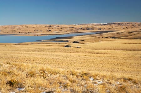 back-country;backcountry;Central-Otago;Central-Otago-peneplain;country;countryside;dam;dams;farm;farming;farmland;farms;Great-Moss-Swamp;high-altitude;high-country;highcountry;highland;highlands;lake;lakes;Lammermoor-Range;Lammermoor-Ranges;Logan-Burn-Dam;Logan-Burn-Reservoir;Loganburn-Dam;Loganburn-Reservoir;Maniototo;N.Z.;New-Zealand;NZ;Old-Dunstan-Road;Old-Dunstan-Track;Old-Dunstan-Trail;Otago;Otago-peneplain;remote;remoteness;rural;S.I.;SI;South-Is.;South-Island;tussock;tussocklands;tussocks;uplands