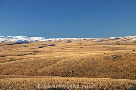altitude;back-country;backcountry;Central-Otago;Central-Otago-peneplain;country;countryside;high-altitude;high-country;highcountry;highland;highlands;Lammermoor-Range;Lammermoor-Ranges;Maniototo;mount;mountain;mountainous;mountains;mt;mt.;N.Z.;New-Zealand;NZ;Old-Dunstan-Road;Old-Dunstan-Track;Old-Dunstan-Trail;Otago;Otago-peneplain;range;ranges;remote;remoteness;road;roads;Rock-and-Pillar-Range;rural;S.I.;SI;snow;snow-capped;snow_capped;snowcapped;snowy;South-Is.;South-Island;tussock;tussocklands;tussocks;uiplands;upland;uplands