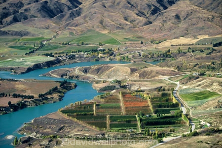 aerials;apple;apples;apricot;apricots;Bannockburn-Heights;Cairnmuir;carrick;color;colors;colour;colours;crop;crops;cultivation;farm;farming;farms;Felton-Road;field;fields;grape;grapes;grapevine;green;horticulture;inlet;lakes;Mt-Difficulty;orchard;orchards;poplar;poplars;red;row;rows;rural;vine;vines;vineyard;vineyards;vintage;wind-breaks;windbreak;windbreaks;wine;wineries;winery;wines