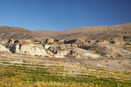 1865;agricultural;agriculture;autuminal;autumn;autumn-colour;autumn-colours;autumnal;Bannockburn;Central-Otago;central-otago-vineyard;central-otago-vineyards;central-otago-wineries;central-otago-winery;color;colors;colour;colours;country;countryside;crop;crops;cultivation;deciduous;diggings;fall;farm;farming;farmland;farms;field;fields;gold-fields;gold-mining;gold-rush;goldfields;goldmining;goldrush;grape;grapes;grapevine;heritage;historic;Historic-Gold-Sluicings;historical;history;horticulture;Mount-Difficulty-Vineyard;Mount-Difficulty-Vineyards;Mount-Difficulty-Winery;Mount-Difficulty-Wines;Mt-Difficulty-Vineyard;Mt-Difficulty-Vineyards;Mt-Difficulty-Winery;Mt-Difficulty-Wines;Mt.-Difficulty-Vineyard;Mt.-Difficulty-Vineyards;Mt.-Difficulty-Winery;Mt.-Difficulty-Wines;N.Z.;near-Cromwell;New-Zealand;NZ;old;Otago;row;rows;rural;S.I.;season;seasonal;seasons;SI;sluice;sluicing;sluicings;South-Is.;South-Island;tailings;tree;trees;vine;vines;vineyard;vineyards;vintage;wineage;wineries;winery;wines
