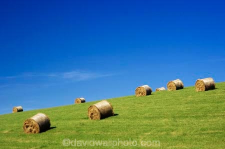 agricultural;agriculture;blue;country;countryside;crop;crops;farm;farming;farmland;farms;field;fields;green;hay;hay-bale;hay-bales;horticulture;Lawrence;meadow;meadows;New-Zealand;Otago;paddock;paddocks;pasture;pastures;rural;South-Island