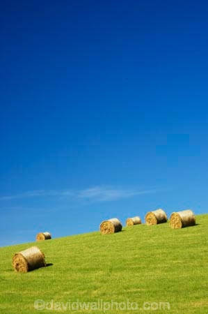 agricultural;agriculture;blue;country;countryside;crop;crops;farm;farming;farmland;farms;field;fields;green;hay;hay-bale;hay-bales;horticulture;Lawrence;meadow;meadows;New-Zealand;Otago;paddock;paddocks;pasture;pastures;rural;South-Island