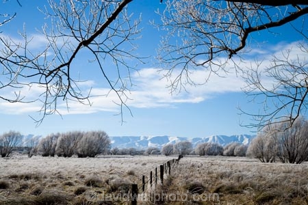agricultural;agriculture;beautiful;calm;calmness;Central-Otago;clean;clear;cold;Coldness;Color;Colour;country;countryside;Daytime;Exterior;farm;farming;farmland;farms;fence;fence-line;fence-lines;fence_line;fence_lines;fenceline;fencelines;fences;field;fields;freeze;freezing;freezing-fog;frost;Frosted;frosty;high-country;hoar-frost;hoar-frosts;Hoarfrost;hoarfrosts;ice;ice-crystals;icy;Ida-Valley;idyllic;Landscape;Landscapes;Maniototo;meadow;meadows;N.Z.;natural;Nature;new-zealand;NZ;Otago;Oturehua;Outdoor;Outdoors;Outside;paddock;paddocks;pasture;pastures;peaceful;Peacefulness;phenomena;phenomenon;pure;Quiet;Quietness;rime;rime-ice;rural;S.I.;Scenic;Scenics;Season;Seasons;SI;silence;south-island;spectacular;stunning;tranquil;tranquility;tree;trees;view;water;weather;White;willow;willow-tree;willow-trees;willows;winter;Wintertime;wintery;wintry
