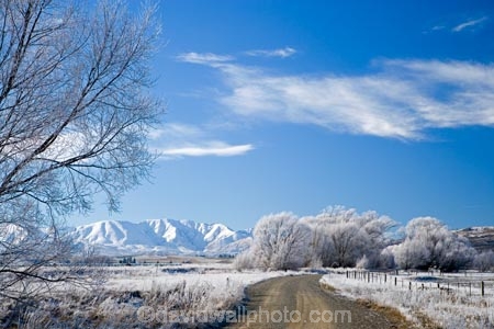 agricultural;agriculture;beautiful;calm;calmness;Central-Otago;clean;clear;cold;Coldness;Color;Colour;country;countryside;Daytime;dusty;Exterior;farm;farming;farmland;farms;field;fields;freeze;freezing;freezing-fog;frost;Frosted;frosty;gravel-road;gravel-roads;Hawkdun-Range;Hawkdun-Ranges;high-country;hoar-frost;hoar-frosts;Hoarfrost;hoarfrosts;ice;ice-crystals;icy;Ida-Valley;idyllic;Landscape;Landscapes;Maniototo;meadow;meadows;metal-road;metal-roads;metalled-road;metalled-roads;N.Z.;natural;Nature;new-zealand;NZ;Otago;Oturehua;Outdoor;Outdoors;Outside;paddock;paddocks;pasture;pastures;peaceful;Peacefulness;phenomena;phenomenon;pure;Quiet;Quietness;rime;rime-ice;road;roads;rural;S.I.;Scenic;Scenics;Season;Seasons;SI;silence;south-island;spectacular;stunning;tranquil;tranquility;tree;trees;view;water;weather;White;willow;willow-tree;willow-trees;willows;winter;Wintertime;wintery;wintry