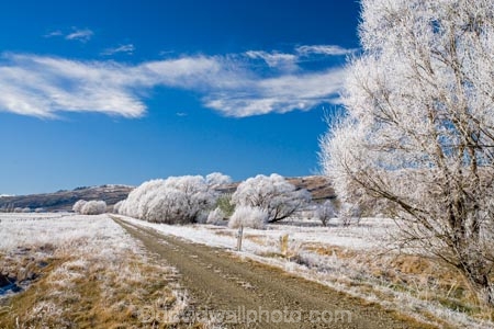 agricultural;agriculture;beautiful;calm;calmness;Central-Otago;Central-Otago-Rail-Trail;clean;clear;cold;Coldness;Color;Colour;country;countryside;Daytime;Exterior;farm;farming;farmland;farms;field;fields;freeze;freezing;freezing-fog;frost;Frosted;frosty;high-country;hoar-frost;hoar-frosts;Hoarfrost;hoarfrosts;ice;ice-crystals;icy;Ida-Valley;idyllic;Landscape;Landscapes;Maniototo;meadow;meadows;N.Z.;natural;Nature;new-zealand;NZ;Otago;Otago-Central-Rail-Trail;Oturehua;Outdoor;Outdoors;Outside;paddock;paddocks;pasture;pastures;peaceful;Peacefulness;phenomena;phenomenon;pure;Quiet;Quietness;rail-trail;rail-trails;rime;rime-ice;rural;S.I.;Scenic;Scenics;Season;Seasons;SI;silence;south-island;spectacular;stunning;tranquil;tranquility;tree;trees;view;water;weather;White;willow;willow-tree;willow-trees;willows;winter;Wintertime;wintery;wintry