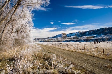 agricultural;agriculture;beautiful;calm;calmness;Central-Otago;Central-Otago-Rail-Trail;clean;clear;cold;Coldness;Color;Colour;country;countryside;Daytime;Exterior;farm;farming;farmland;farms;field;fields;freeze;freezing;freezing-fog;frost;Frosted;frosty;high-country;hoar-frost;hoar-frosts;Hoarfrost;hoarfrosts;ice;ice-crystals;icy;Ida-Valley;idyllic;Landscape;Landscapes;Maniototo;meadow;meadows;N.Z.;natural;Nature;new-zealand;NZ;Otago;Otago-Central-Rail-Trail;Oturehua;Outdoor;Outdoors;Outside;paddock;paddocks;pasture;pastures;peaceful;Peacefulness;phenomena;phenomenon;pure;Quiet;Quietness;rail-trail;rail-trails;rime;rime-ice;rural;S.I.;Scenic;Scenics;Season;Seasons;SI;silence;south-island;spectacular;stunning;tranquil;tranquility;tree;trees;view;water;weather;White;willow;willow-tree;willow-trees;willows;winter;Wintertime;wintery;wintry