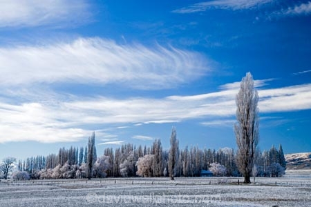 agricultural;agriculture;beautiful;calm;calmness;Central-Otago;clean;clear;cold;Coldness;Color;Colour;country;countryside;Daytime;Exterior;farm;farming;farmland;farms;field;fields;freeze;freezing;freezing-fog;frost;Frosted;frosty;high-country;hoar-frost;hoar-frosts;Hoarfrost;hoarfrosts;ice;ice-crystals;icy;Ida-Valley;idyllic;Landscape;Landscapes;Maniototo;meadow;meadows;N.Z.;natural;Nature;new-zealand;NZ;Otago;Outdoor;Outdoors;Outside;paddock;paddocks;pasture;pastures;peaceful;Peacefulness;phenomena;phenomenon;Poolburn;poplar;poplar-tree;poplar-trees;poplars;pure;Quiet;Quietness;rime;rime-ice;rural;S.I.;Scenic;Scenics;Season;Seasons;SI;silence;south-island;spectacular;stunning;tranquil;tranquility;tree;trees;view;water;weather;White;winter;Wintertime;wintery;wintry