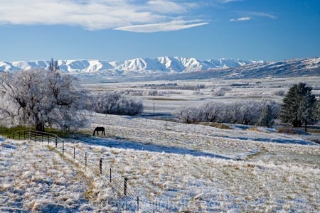 agricultural;agriculture;beautiful;calm;calmness;Central-Otago;clean;clear;cold;Coldness;Color;Colour;country;countryside;Daytime;Exterior;farm;farming;farmland;farms;field;fields;freeze;freezing;freezing-fog;frost;Frosted;frosty;Hawkdun-Range;Hawkdun-Ranges;high-country;hoar-frost;hoar-frosts;Hoarfrost;hoarfrosts;ice;ice-crystals;icy;Ida-Valley;idyllic;Landscape;Landscapes;Maniototo;meadow;meadows;N.Z.;natural;Nature;new-zealand;NZ;Otago;Outdoor;Outdoors;Outside;paddock;paddocks;pasture;pastures;peaceful;Peacefulness;phenomena;phenomenon;Poolburn;pure;Quiet;Quietness;rime;rime-ice;rural;S.I.;Scenic;Scenics;Season;Seasons;SI;silence;south-island;spectacular;stunning;tranquil;tranquility;tree;trees;view;water;weather;White;willow;willow-tree;willow-trees;willows;winter;Wintertime;wintery;wintry