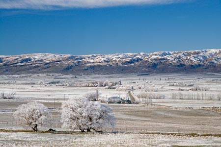 agricultural;agriculture;beautiful;calm;calmness;Central-Otago;clean;clear;cold;Coldness;Color;Colour;country;countryside;Daytime;Exterior;farm;farming;farmland;farms;field;fields;freeze;freezing;freezing-fog;frost;Frosted;frosty;high-country;hoar-frost;hoar-frosts;Hoarfrost;hoarfrosts;ice;ice-crystals;icy;Ida-Valley;idyllic;Landscape;Landscapes;Maniototo;meadow;meadows;N.Z.;natural;Nature;new-zealand;NZ;Otago;Outdoor;Outdoors;Outside;paddock;paddocks;pasture;pastures;peaceful;Peacefulness;phenomena;phenomenon;Poolburn;poplar;poplar-tree;poplar-trees;poplars;pure;Quiet;Quietness;rime;rime-ice;rural;S.I.;Scenic;Scenics;Season;Seasons;SI;silence;south-island;spectacular;stunning;tranquil;tranquility;tree;trees;view;water;weather;White;willow;willow-tree;willow-trees;willows;winter;Wintertime;wintery;wintry