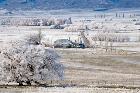 agricultural;agriculture;beautiful;calm;calmness;Central-Otago;clean;clear;cold;Coldness;Color;Colour;country;countryside;Daytime;Exterior;farm;farming;farmland;farms;field;fields;freeze;freezing;freezing-fog;frost;Frosted;frosty;high-country;hoar-frost;hoar-frosts;Hoarfrost;hoarfrosts;ice;ice-crystals;icy;Ida-Valley;idyllic;Landscape;Landscapes;Maniototo;meadow;meadows;N.Z.;natural;Nature;new-zealand;NZ;Otago;Outdoor;Outdoors;Outside;paddock;paddocks;pasture;pastures;peaceful;Peacefulness;phenomena;phenomenon;Poolburn;Poolburn-Hotel;Poolburn-Pub;poplar;poplar-tree;poplar-trees;poplars;pure;Quiet;Quietness;rime;rime-ice;rural;S.I.;Scenic;Scenics;Season;Seasons;SI;silence;south-island;spectacular;stunning;tranquil;tranquility;tree;trees;view;water;weather;White;willow;willow-tree;willow-trees;willows;wind-break;wind-breaks;wind_break;wind_breaks;windbreak;windbreaks;winter;Wintertime;wintery;wintry