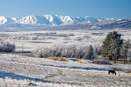 agricultural;agriculture;beautiful;calm;calmness;Central-Otago;clean;clear;cold;Coldness;Color;Colour;country;countryside;Daytime;Exterior;farm;farming;farmland;farms;field;fields;freeze;freezing;freezing-fog;frost;Frosted;frosty;Hawkdun-Range;Hawkdun-Ranges;high-country;hoar-frost;hoar-frosts;Hoarfrost;hoarfrosts;ice;ice-crystals;icy;Ida-Valley;idyllic;Landscape;Landscapes;Maniototo;meadow;meadows;N.Z.;natural;Nature;new-zealand;NZ;Otago;Outdoor;Outdoors;Outside;paddock;paddocks;pasture;pastures;peaceful;Peacefulness;phenomena;phenomenon;Poolburn;pure;Quiet;Quietness;rime;rime-ice;rural;S.I.;Scenic;Scenics;Season;Seasons;SI;silence;south-island;spectacular;stunning;tranquil;tranquility;view;water;weather;White;winter;Wintertime;wintery;wintry