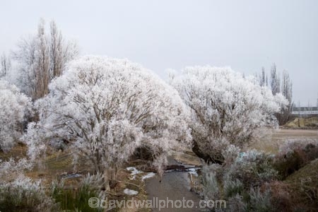 beautiful;calm;calmness;Central-Otago;Central-Otago-Rail-Trail;Chateau-Creek;Chatto-Creek;clean;clear;cold;Coldness;Color;Colour;Daytime;Exterior;freeze;freezing;freezing-fog;frost;Frosted;frosty;high-country;hoar-frost;hoar-frosts;Hoarfrost;hoarfrosts;ice;ice-crystals;icy;idyllic;Landscape;Landscapes;Maniototo;N.Z.;natural;Nature;new-zealand;NZ;Otago;Otago-Central-Rail-Trail;Outdoor;Outdoors;Outside;peaceful;Peacefulness;phenomena;phenomenon;pure;Quiet;Quietness;rail-trail;rail-trails;rime;rime-ice;S.I.;Scenic;Scenics;Season;Seasons;SI;silence;south-island;spectacular;stunning;tranquil;tranquility;tree;trees;view;water;weather;White;willow;willow-tree;willow-trees;willows;winter;Wintertime;wintery;wintry